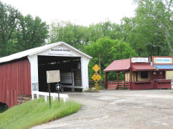mansfield
