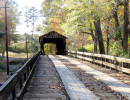red oak