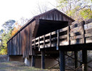 red oak
