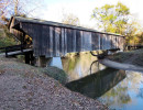 red oak