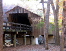 red oak
