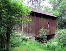 swamp