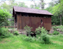 swamp