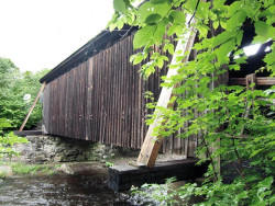 willowemoc