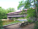 albany