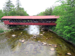 bartlett