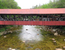 bartlett