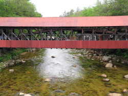 bartlett