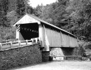 beaverkill