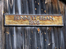 bennett
