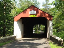 cabinrun 