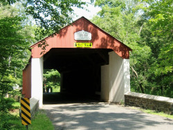cabinrun