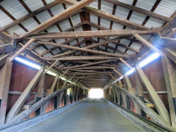 forksville