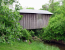 mccleery