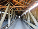 pulp mill