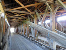 pulp mill