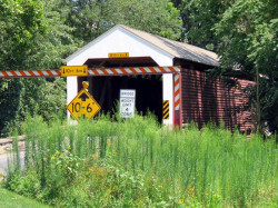 shenks mill