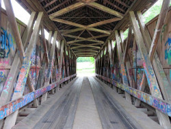 stockheughter