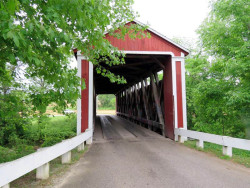 stockheughter