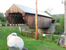 willard